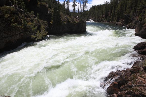 Upstream from brink of Upper Falls; Yellowstone River, Canyon Village.
