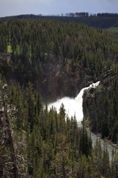 Upper Falls from Brink of Lower Falls trail; Yellowstone River, Canyon Village.
