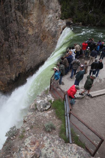 Overlook, Brink of Lower Falls trail; Yellowstone River, Canyon Village.
