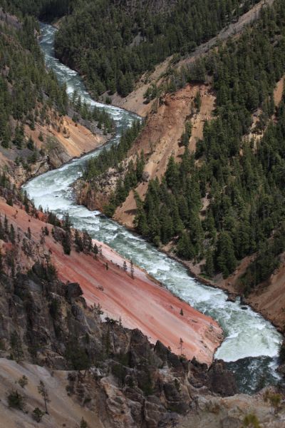 Grand Canyon of the Yellowstone River; Inspiration Point, Canyon Village.
