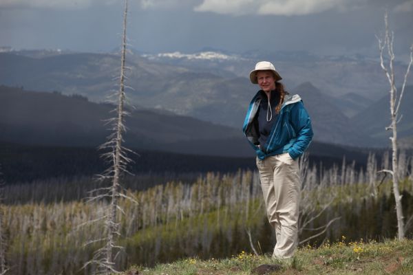 The Professor checks out the thunderstorms looming over the Gallatin Range from a viewpoint at Chittenden Road north of Dunraven Pass.
