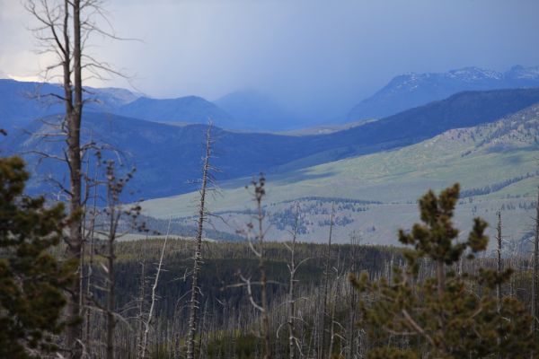 Thunderstorm over the Gallatin Range; viewpoint at Chittenden Road.
