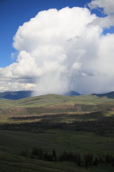 Cumulonimbus storm cells over Specimen  Ridge.  Absaroka Range is seen tn distance; from Viewpoint west of Antelope Creek.
