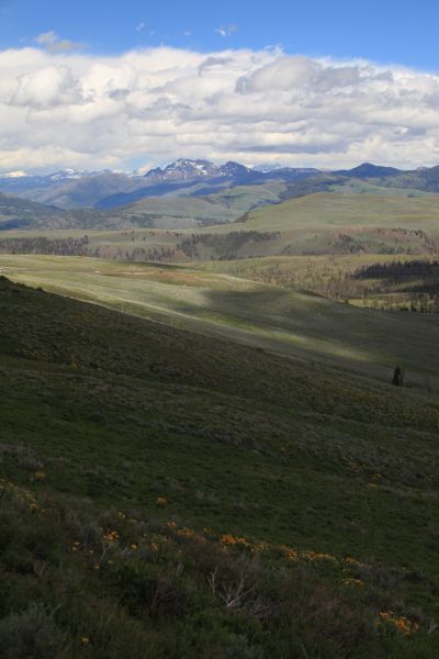 Absaroka Range rises in the distance to the northeast; from Viewpoint west of Antelope Creek.
