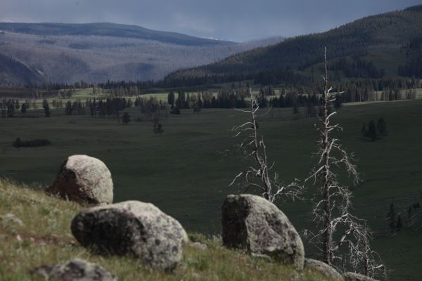 Meadow and eratics above Yellowstone River; from Viewpoint west of Antelope Creek, south of Tower Fall.
