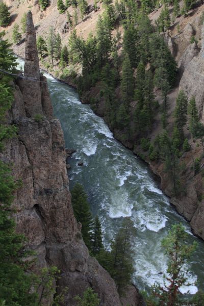 Yellowstone River north of Tower Fall.  Peregrine Falcon chicks nest high on the cliffs above the river.
