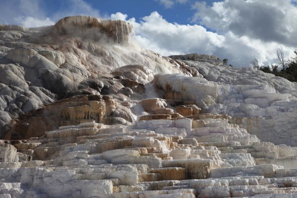 Minerva Terrace; Mammoth Hot Springs.
