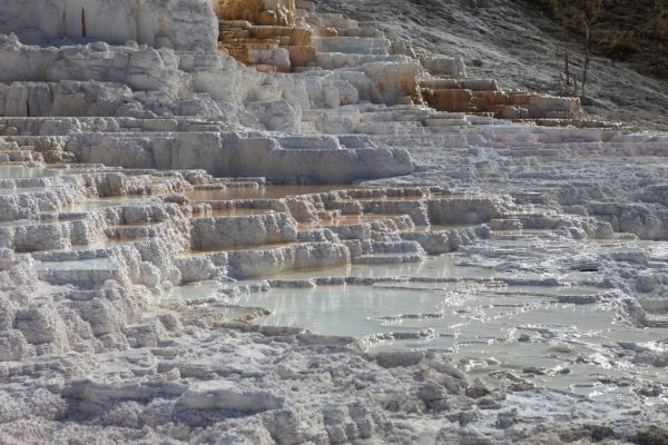 Minerva Terrace; Mammoth Hot Springs.
