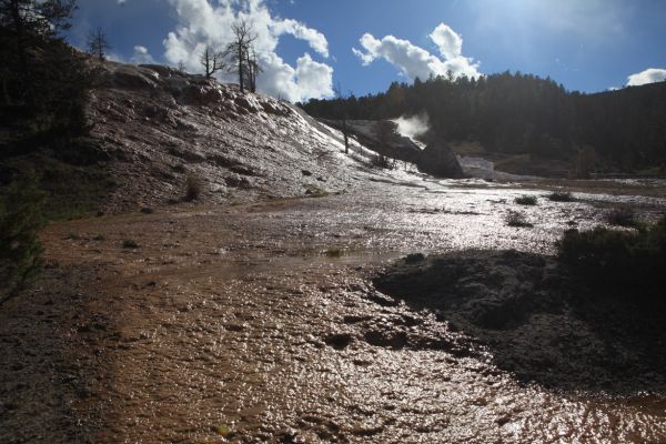 Minerva Terrace with Palette Spring behind; Mammoth Hot Springs.
