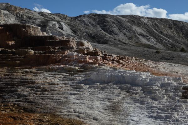 Minerva Terrace; Mammoth Hot Springs.
