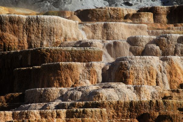 Minerva Terrace; Mammoth Hot Springs.
