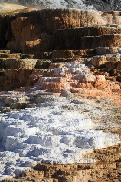 Minerva Terrace; Mammoth Hot Springs.
