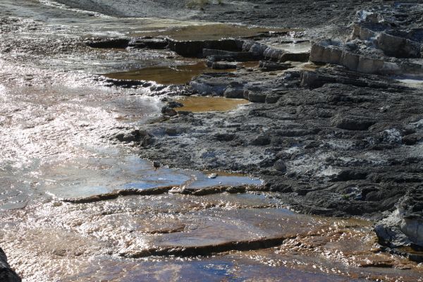 Minerva Terrace; Mammoth Hot Springs.
