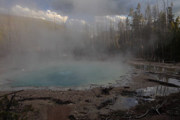 Cistern Spring; Back Basin, Norris Geyser Basin.
