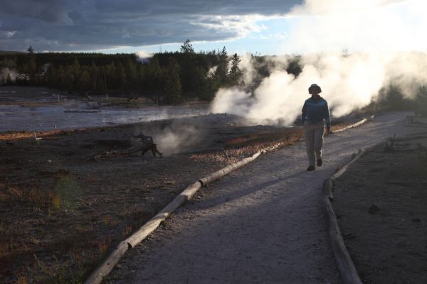 Veteran Geyser; Back Basin, Norris Geyser Basin.
