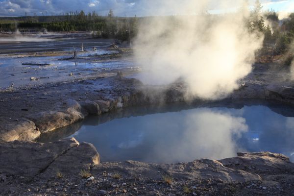 Veteran Geyser; Back Basin, Norris Geyser Basin.
