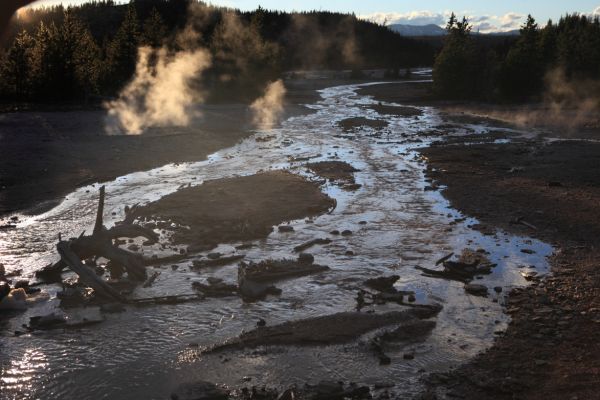 Veteran Geyser; Back Basin, Norris Geyser Basin.
