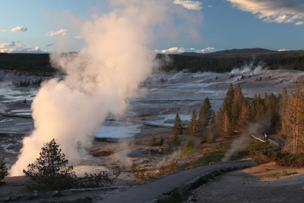 North into Porcelain Basin, Norris Geyser Basin.
