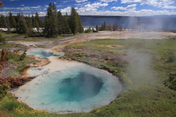 Surging Spring; West Thumb Geyser Basin.
