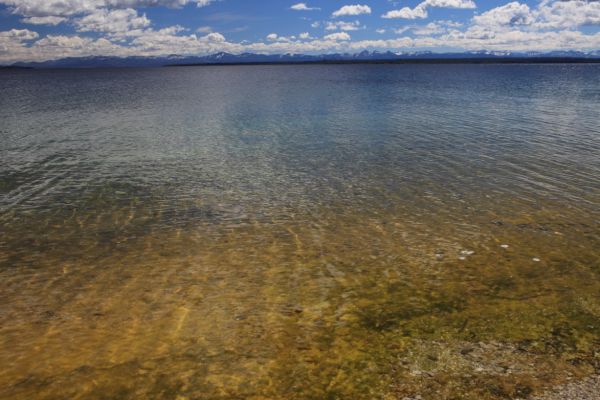 Yellowstone Lake shoreline between Fishing Cone and Big Cone Geysers; West Thumb Geyser Basin.  Color is produced by microorganisms thriving in the hot water.
