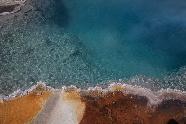 Thermophiles, Black Pool; West Thumb Geyser Basin.
