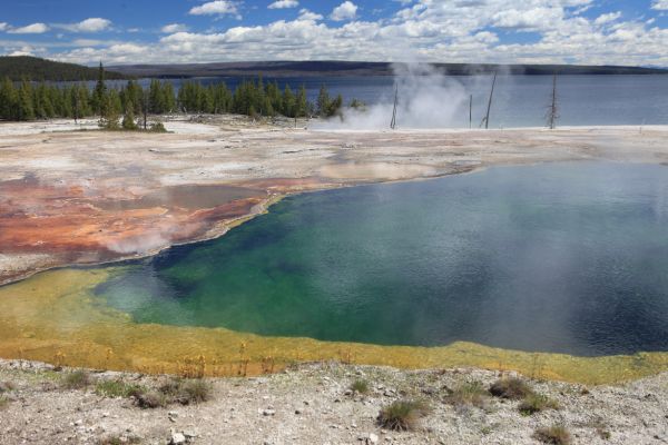 Black Pool; West Thumb Geyser Basin.
