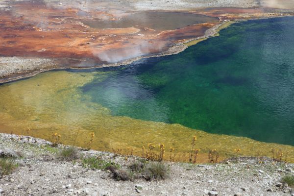 Black Pool; West Thumb Geyser Basin.
