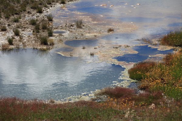 Twin Geysers; West Thumb Geyser Basin.
