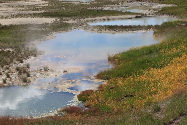 Twin Geysers; West Thumb Geyser Basin.
