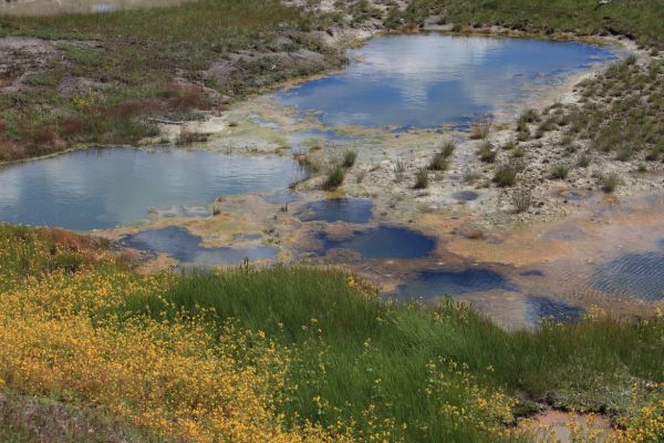 Twin Geysers; West Thumb Geyser Basin.
