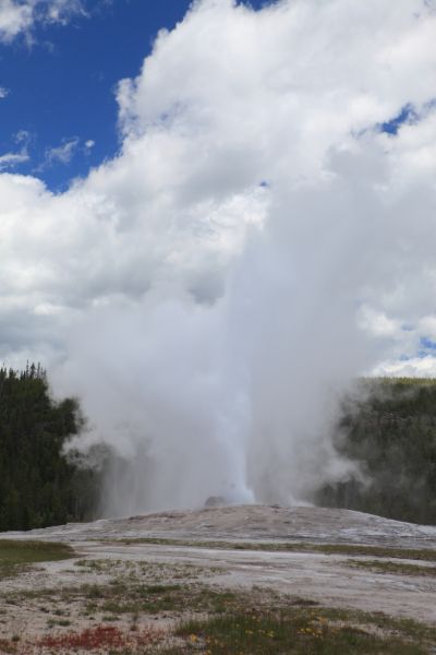 Old Faithful nearing end of eruption; Upper Geyser Basin.
