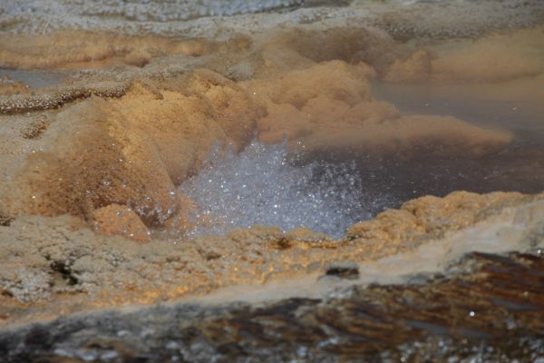 Anemone Geyser.
