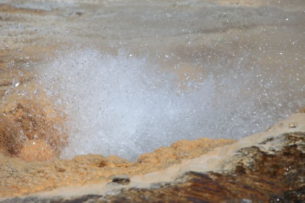 Anemone Geyser.
