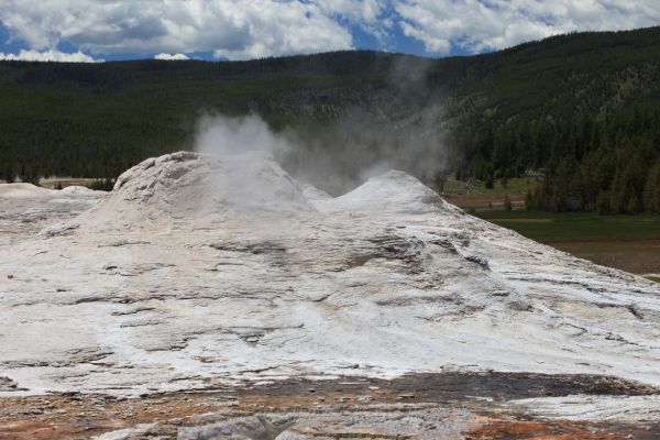 The Lion Group of geysers; Lion, Lioness, Big Cub, and Little Cub, all of which are connected underground; Upper Geyser Basin.
