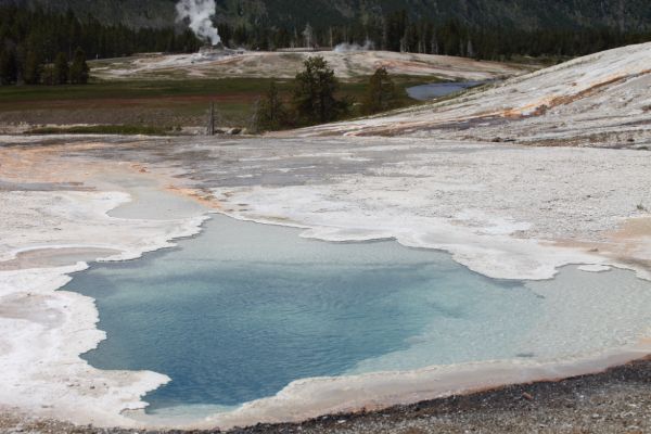 The Lion Group of geysers; Lion, Lioness, Big Cub, and Little Cub, all of which are connected underground; Upper Geyser Basin.
