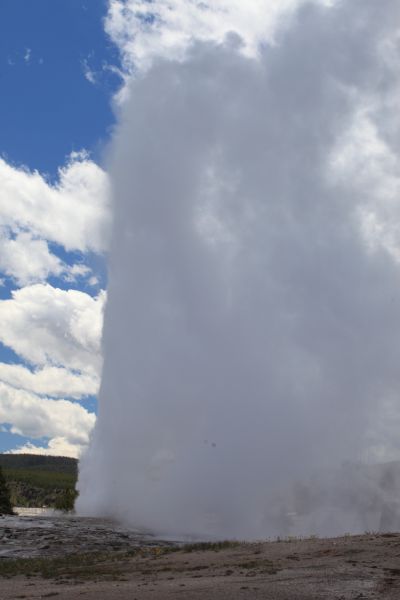 Old Faithful erupts again, viewed from the north.  A moment later, the wind shifts, and we get doused with water.
