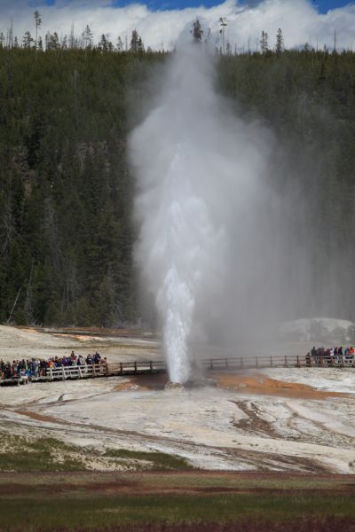 The Beehive Geyser unexpectedly erupts while we are hurrying to catch the Riverside Geyser.
