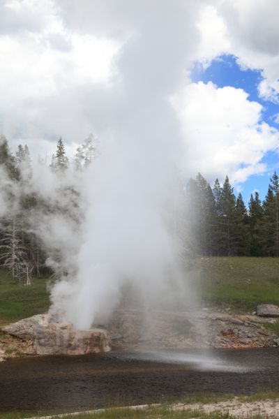 The geyser spouts a column of water about 75', arching over the Firehole river. 
