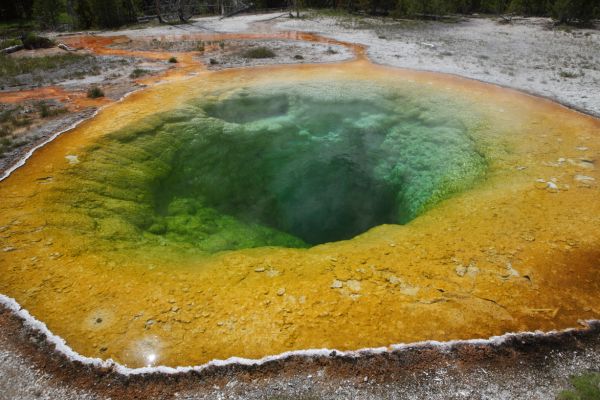 Morning Glory Pool; Upper Geyser Basin.  Polarizer removes reflections.
