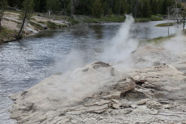 Fan & Mortar Geysers on the Firehole River; Upper Geyser Basin.
