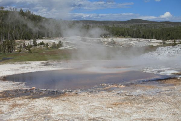 Upper Geyser Basin.
