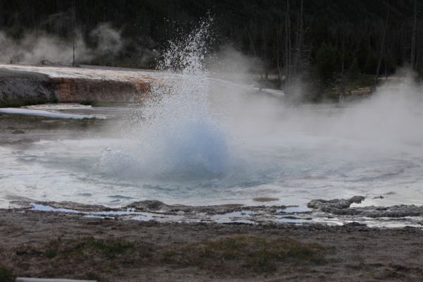 Spouter Geyser; Black Sand Basin, Upper Geyser Basin.
