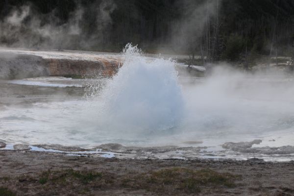 Spouter Geyser; Black Sand Basin, Upper Geyser Basin.
