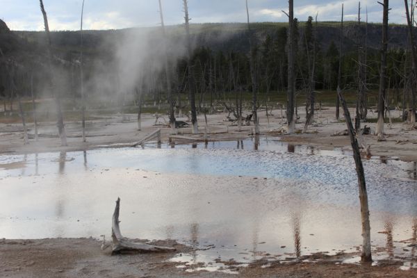 Opalescent Pool; Black Sand Basin, Upper Geyser Basin.
