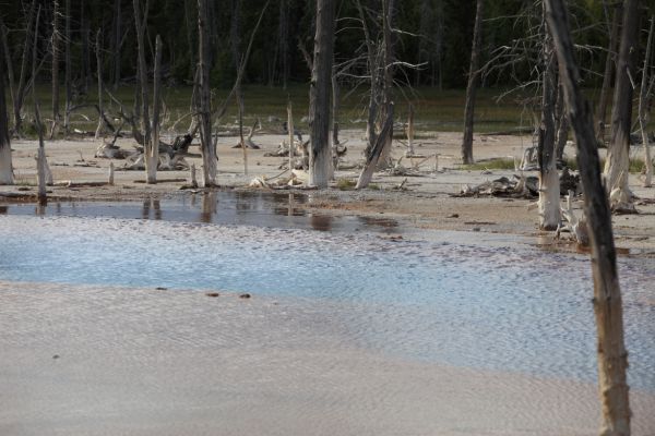 Opalescent Pool; Black Sand Basin, Upper Geyser Basin.
