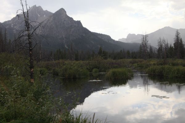 Imminent thundershowers; at the south end of Stanley Lake looking west.
