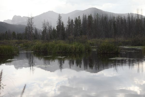 Mountains to the west of Stanley Lake reflected in the flooded meadow.
