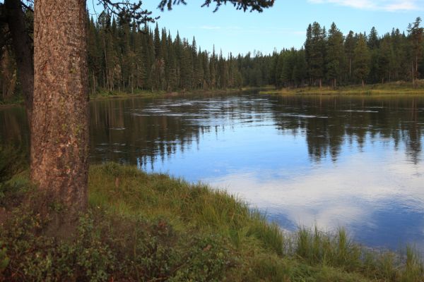 Henry's Fork of the Snake River; downstream from Upper Coffee Pot Campground.
