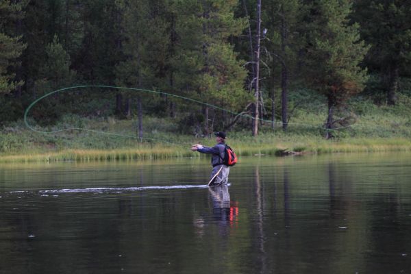 Henry's Fork is a world class trout fishery, especially known for its superb dry fly fishing.
