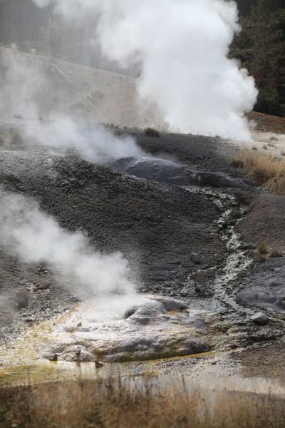 Porcelain Basin, Norris Geyser Basin.
